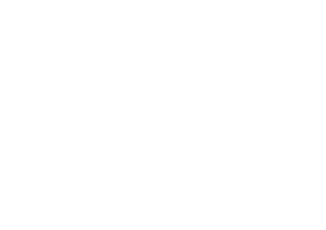 Chic Icon