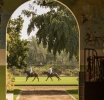 The Polo Elite: Desert Palm’s Equestrian Elegance 