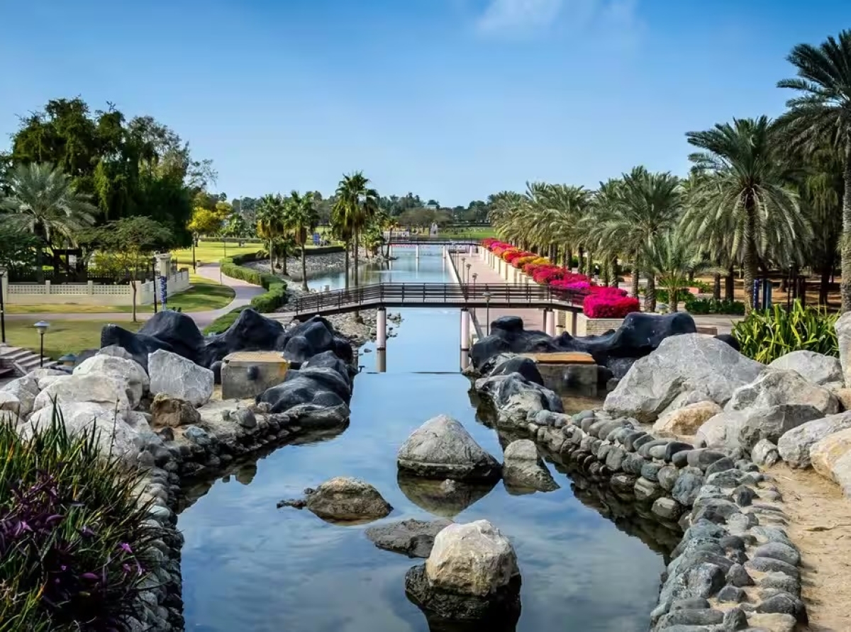 The Hidden Gardens of Dubai: Where Nature Thrives in the Urban Jungle