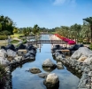 The Hidden Gardens of Dubai: Where Nature Thrives in the Urban Jungle