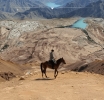 Dubai Municipality Unveils First Sand Equestrian Track in Hatta, Advancing Regional Development and Tourism