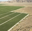 The Green Desert: Dubai’s Push for Sustainable Agriculture