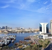 Dubai Chamber of Commerce Launches Month-Long Sustainability Initiative