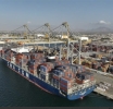 DP World Launches Direct Jebel Ali–Berbera Shipping Route, Strengthening Gulf–East Africa Trade Links